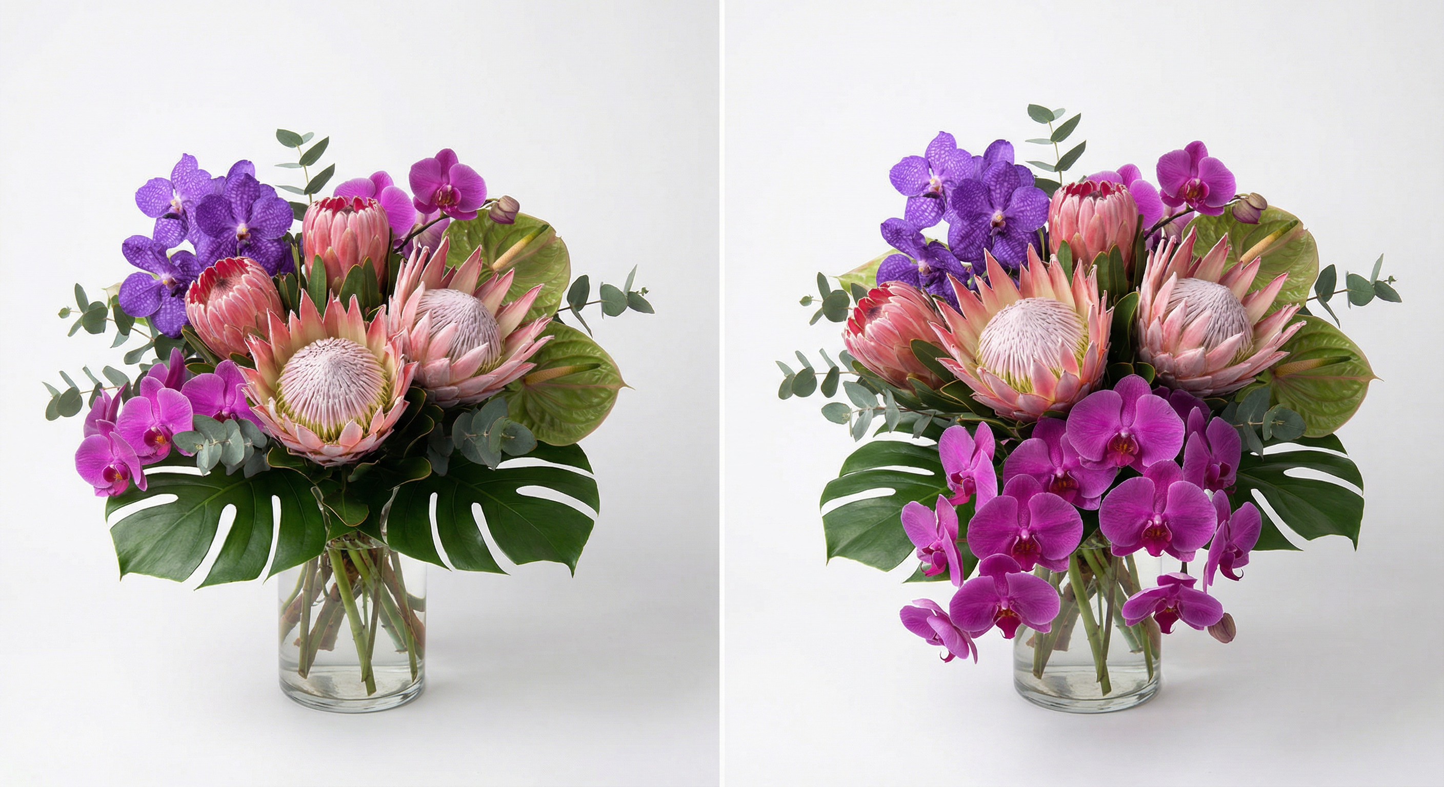 Экзотика — орхидеи и протеи